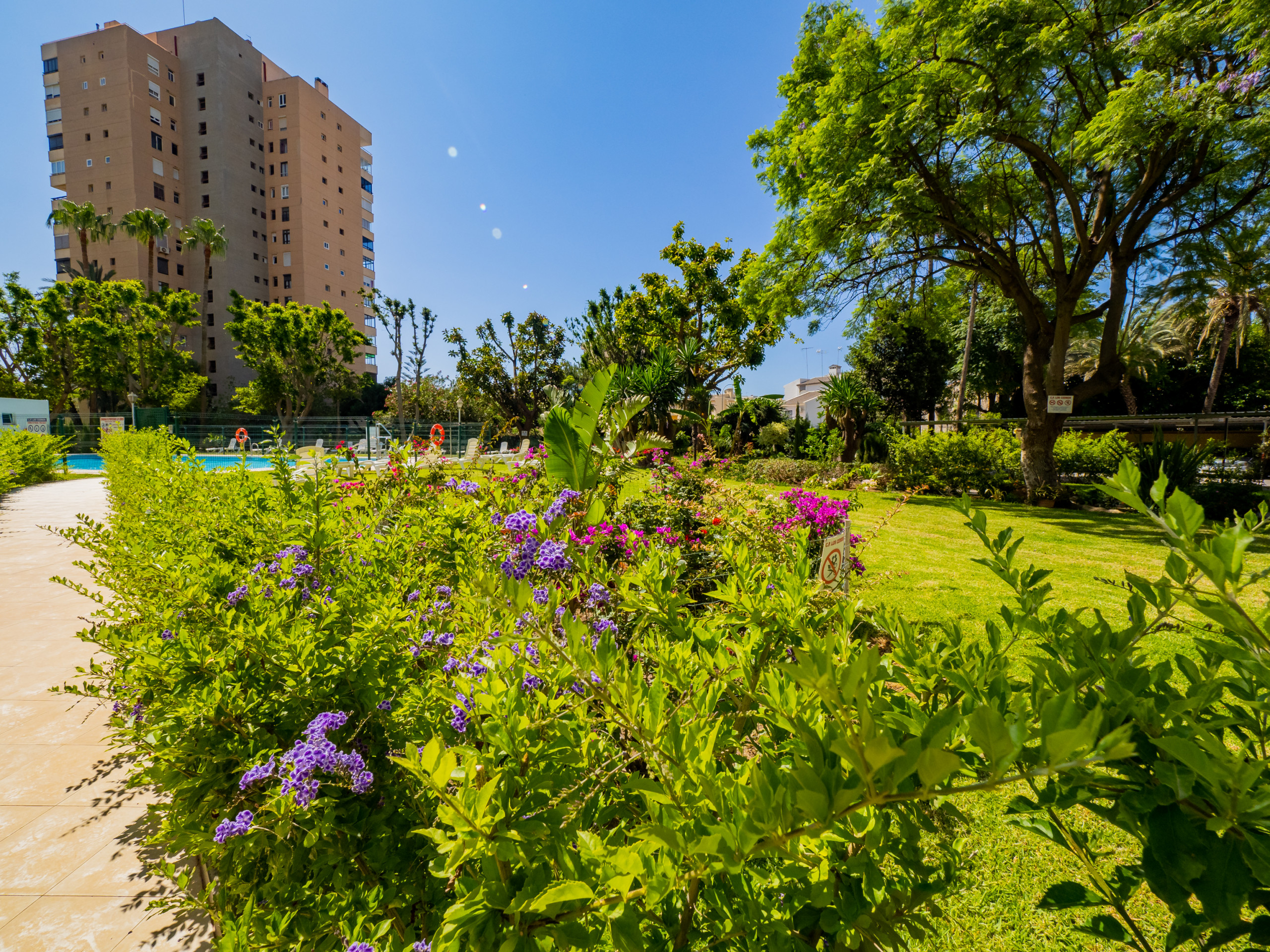 Alquilar Apartamento en Torremolinos Cubo's Seaview Apartament Evy Playa imagen-6