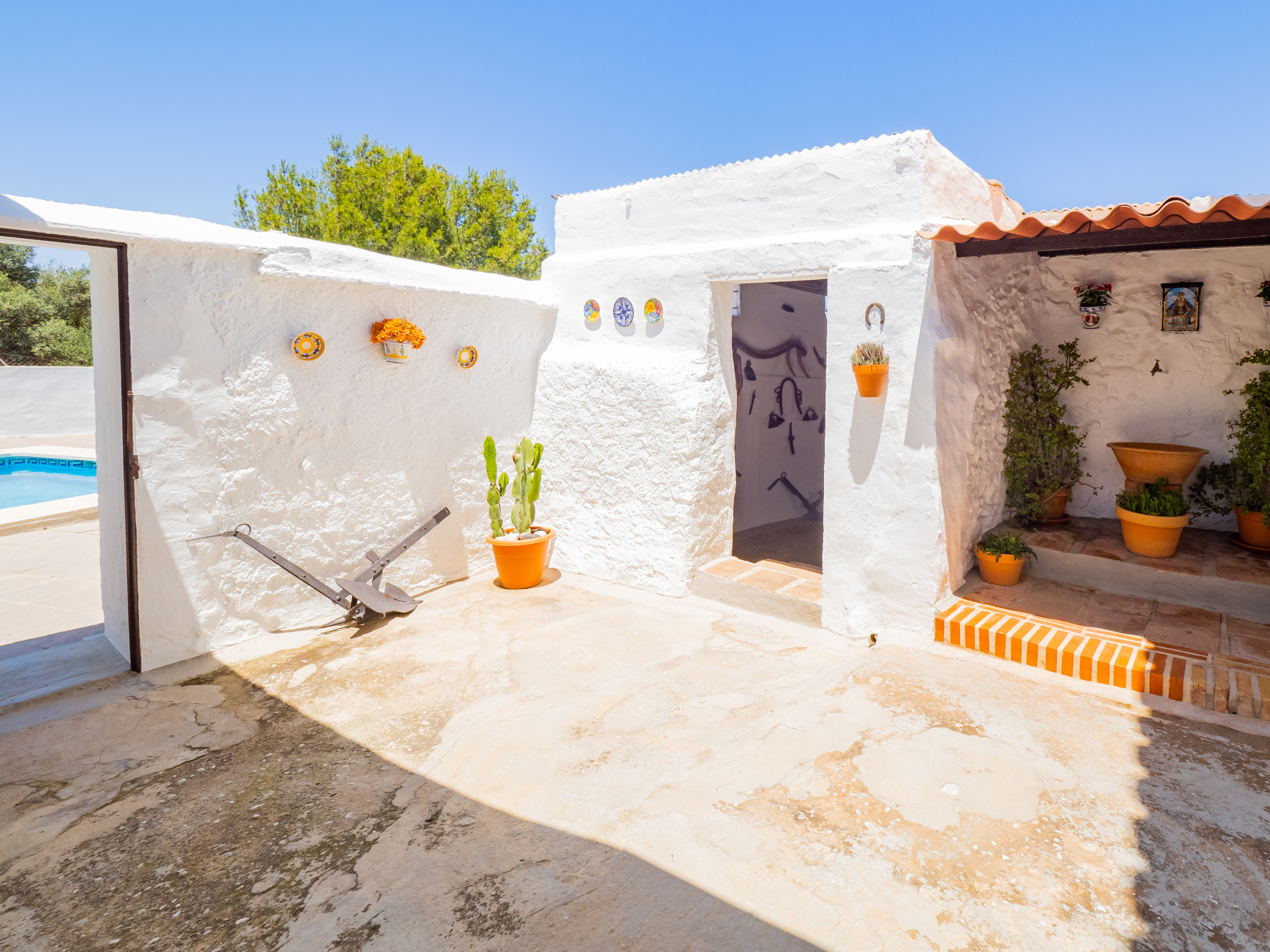 Rent Rural House in Cártama Cubo's Cortijo La Palmera picture-12