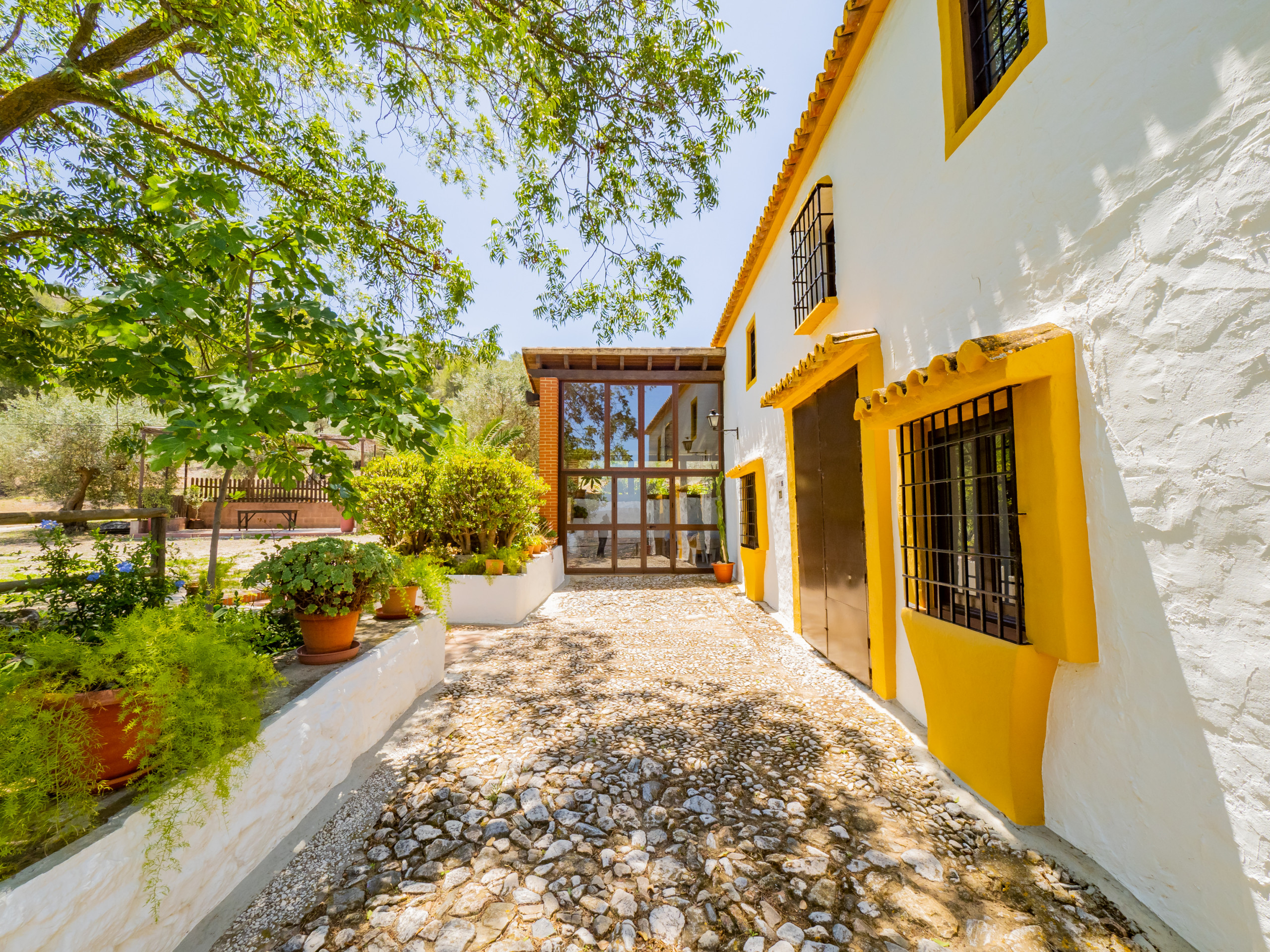 Rent Rural House in Cártama Cubo's Cortijo La Palmera picture-3