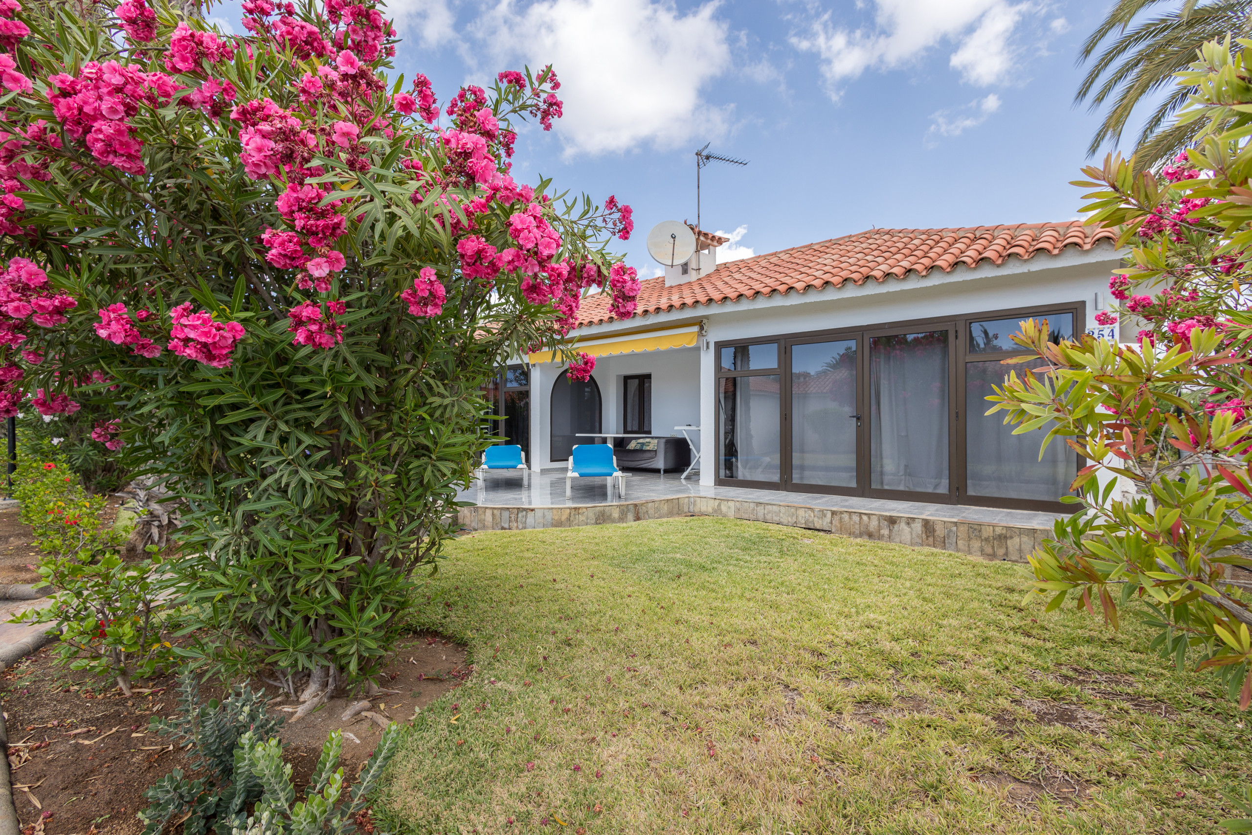 Rent Bungalow in San Bartolomé de Tirajana Sun Club 254 B - 4 pax picture-31