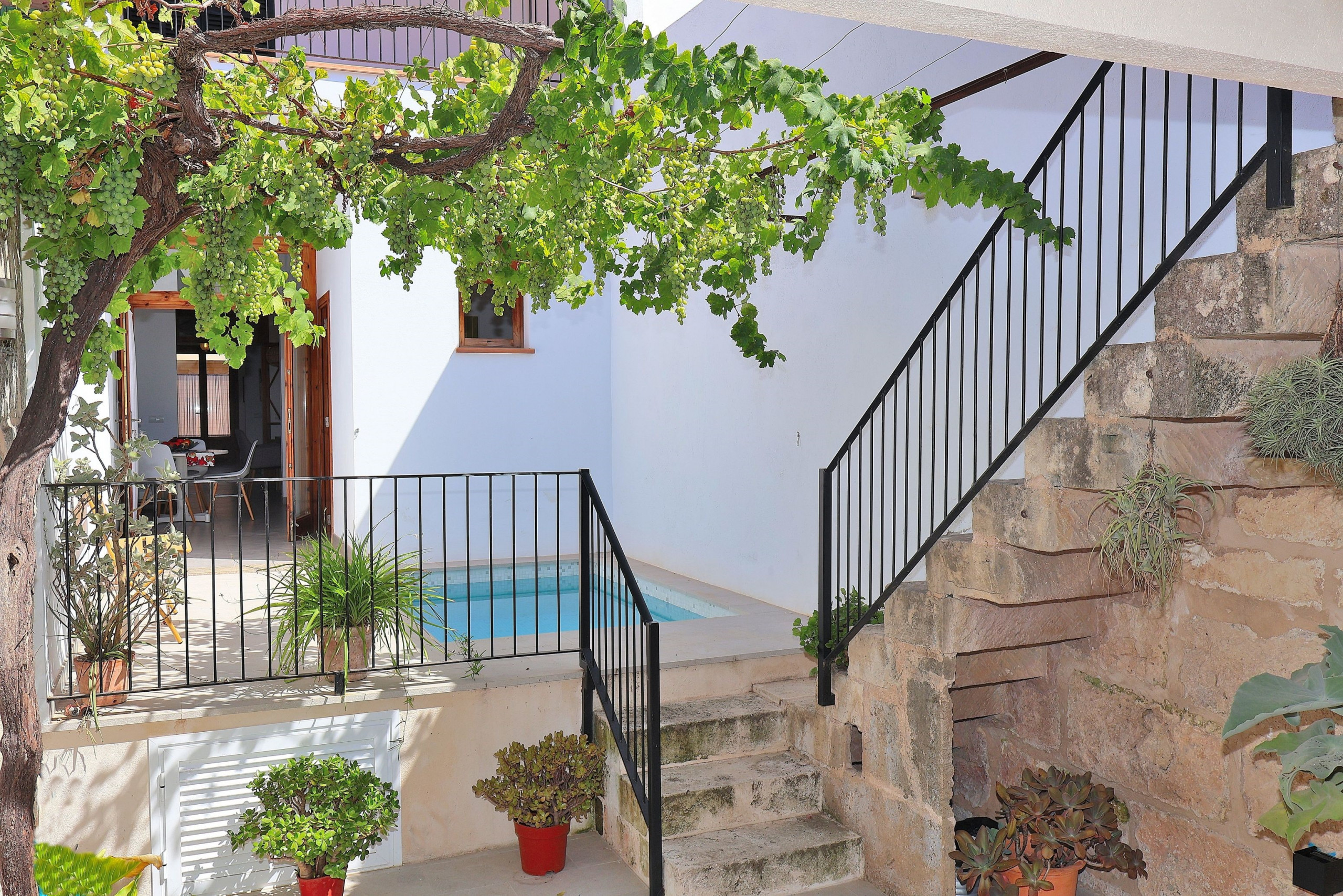 Rent House in Muro Es Colomer 265 by Mallorca Charme picture-3