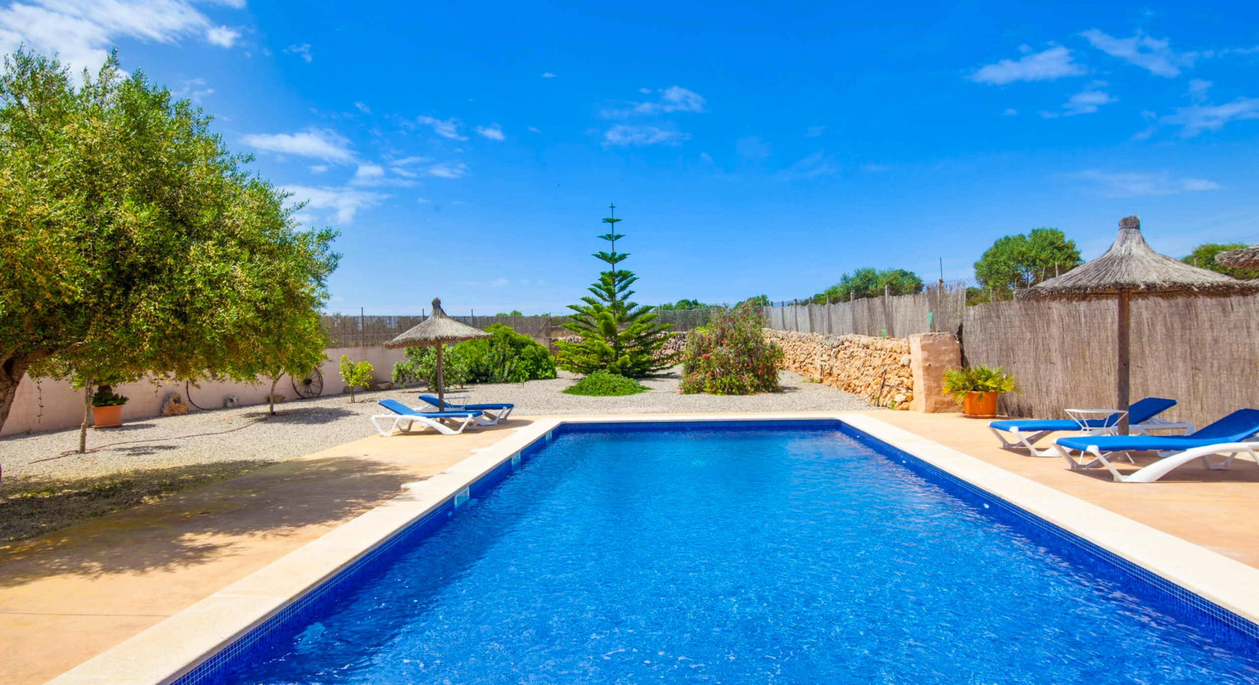 Rent Rural House in Ses Salines Ses Puntes, Finca 5StarsHome Mallorca picture-1