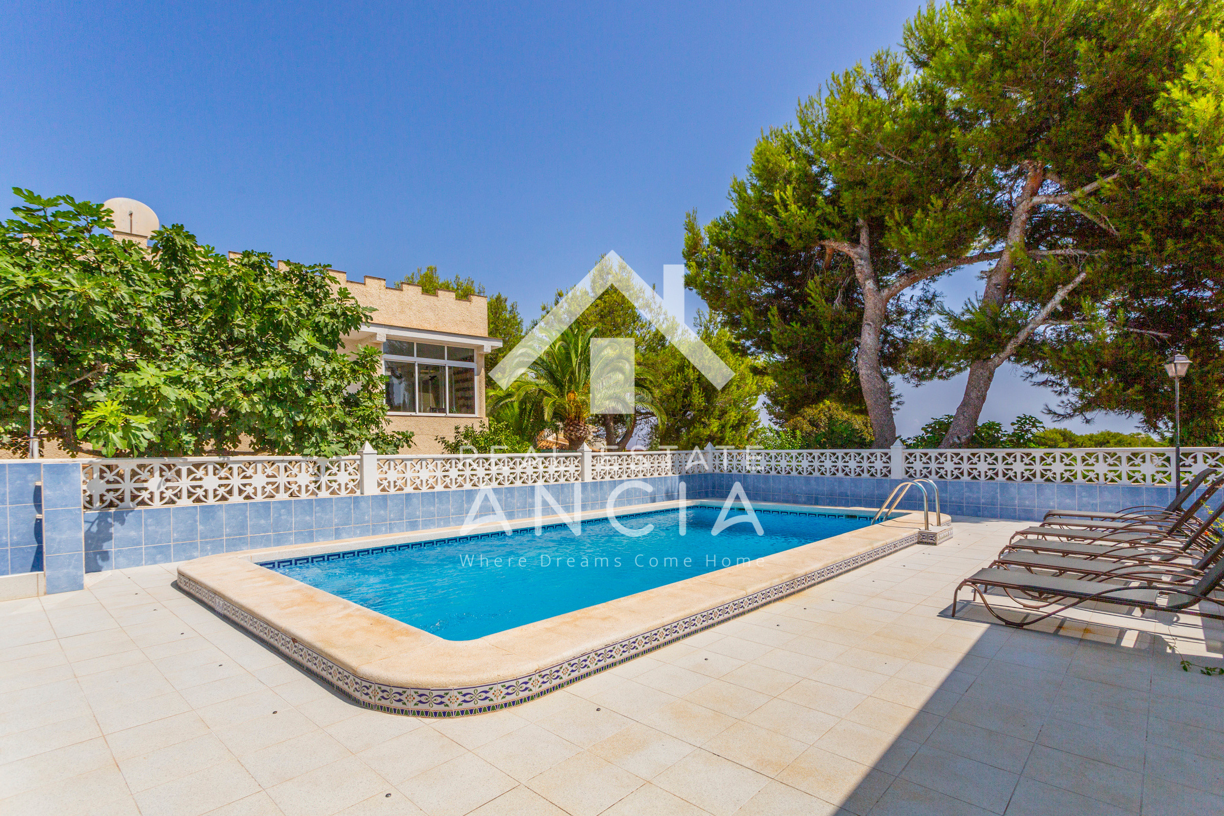 Rent House in Torrevieja Villa Sonrisa picture-13