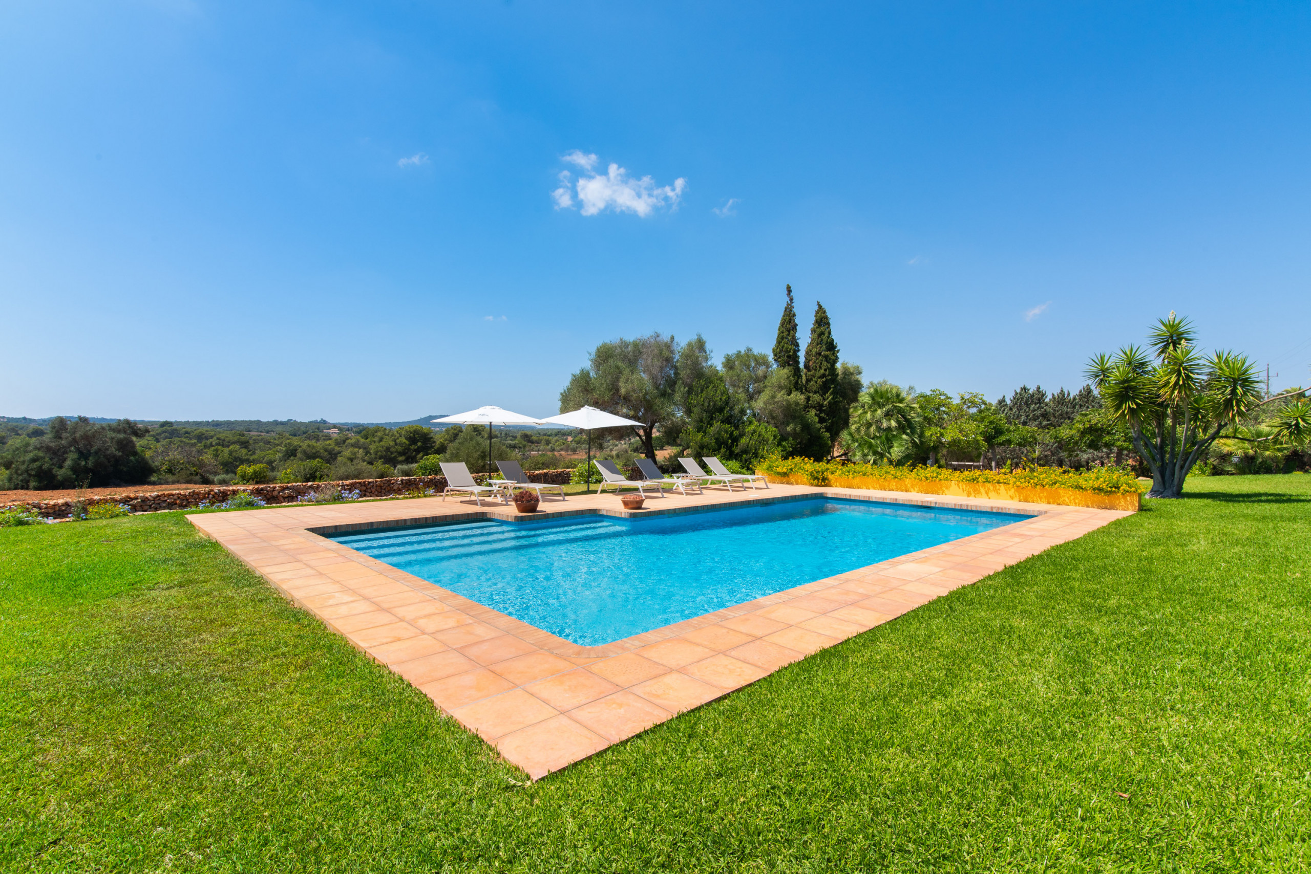 Location Maison rurale à Manacor Sestador Blat, Finca 5StarsHome Mallorca photo-33