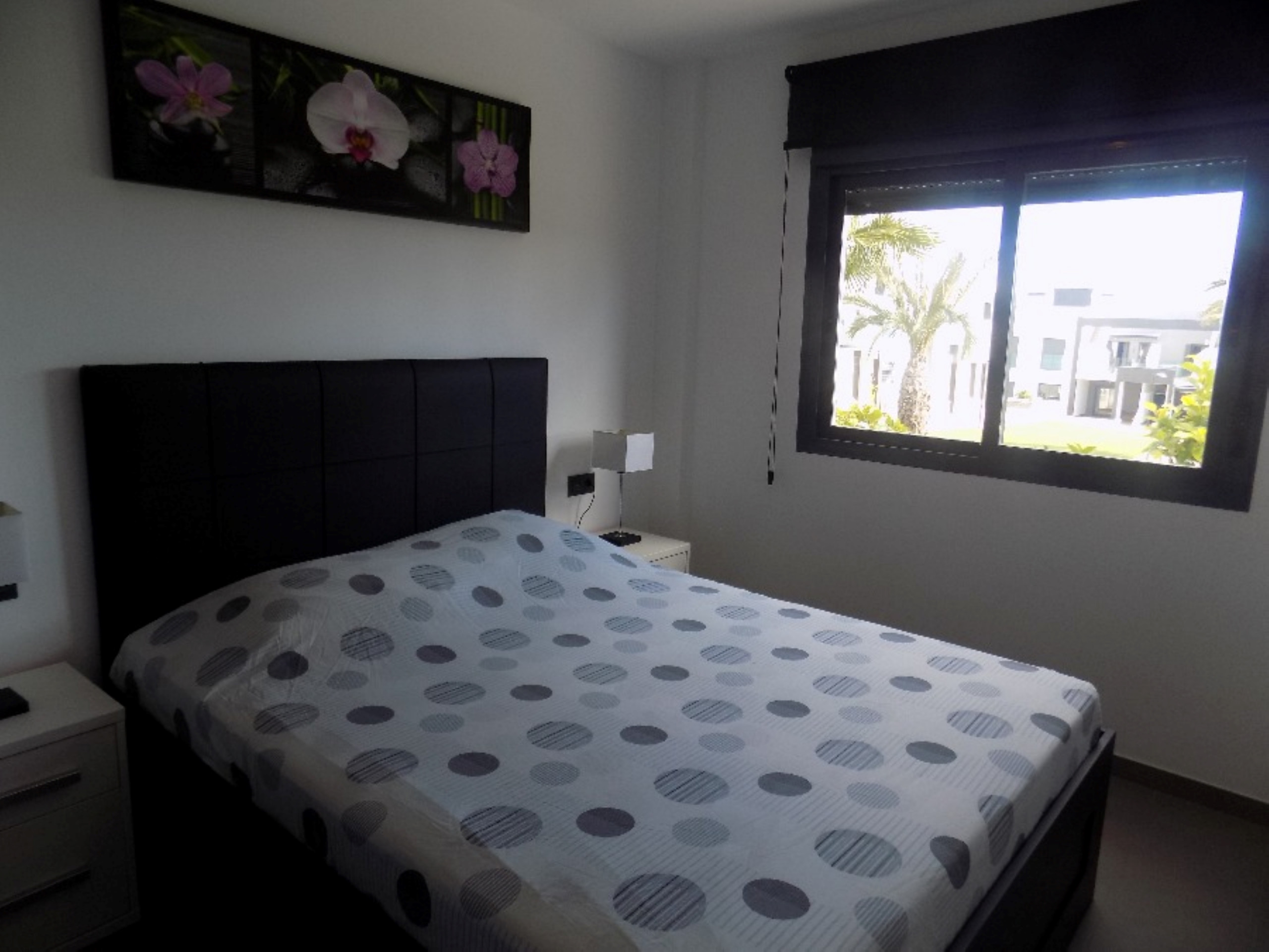 Rent Apartment in La Zenia f2019 picture-6