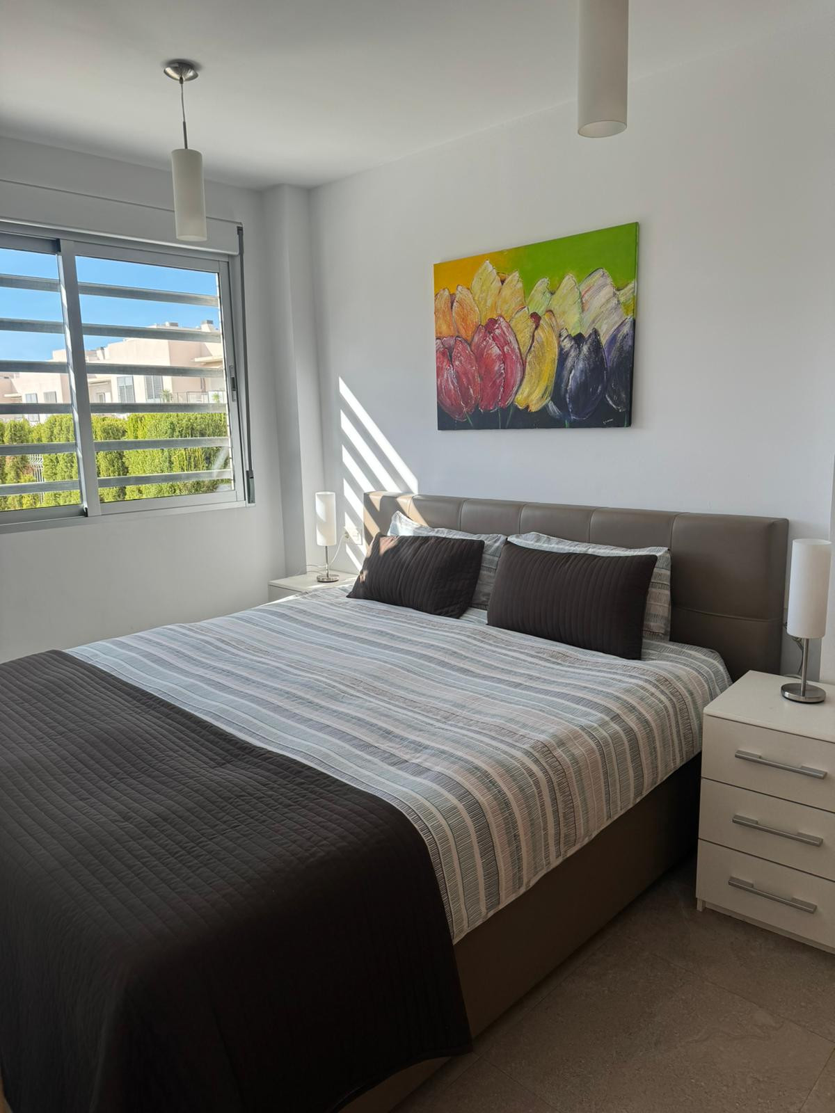 Rent Apartment in Torrevieja varudi307 picture-4