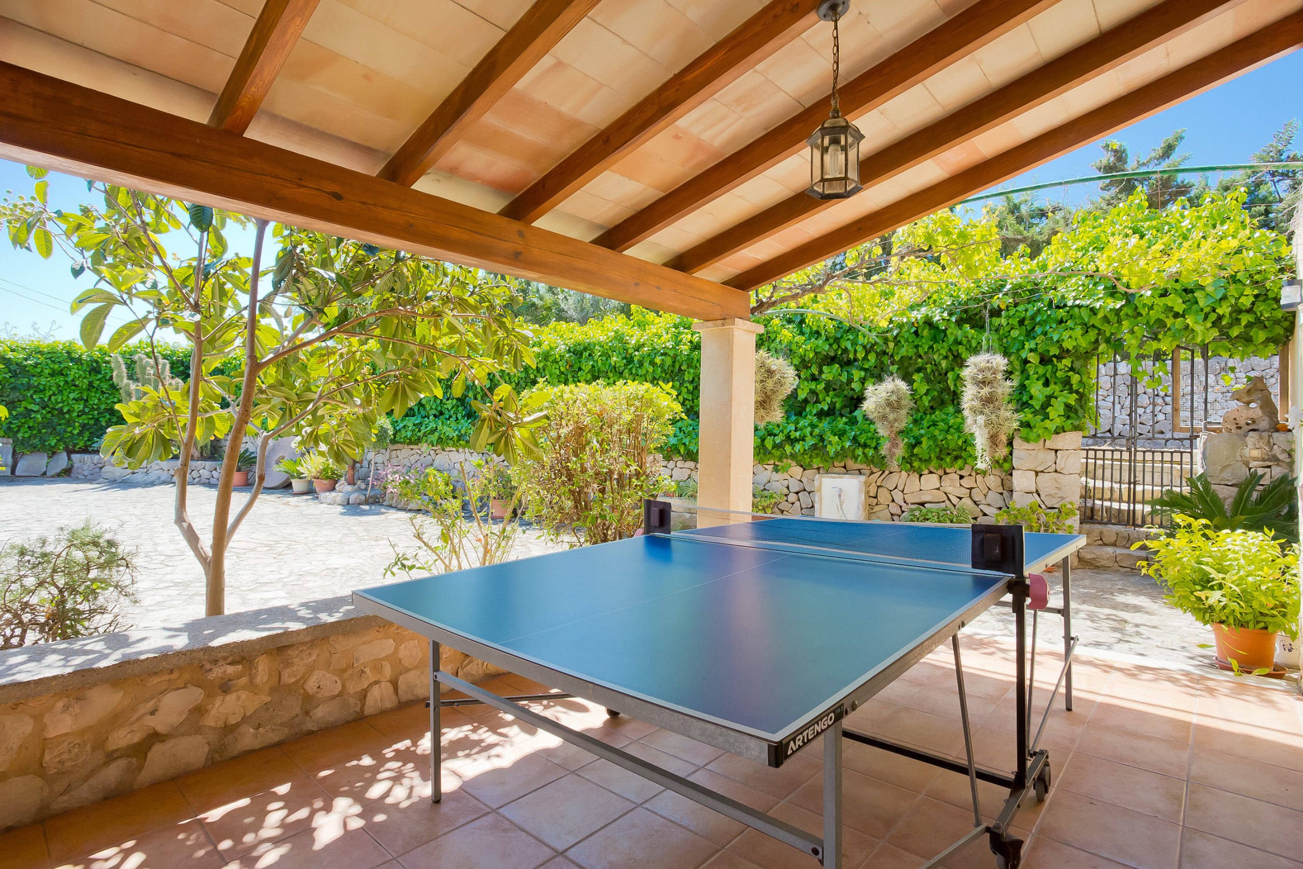 Rent Villa in Puerto de Alcudia Villa Cifre picture-2