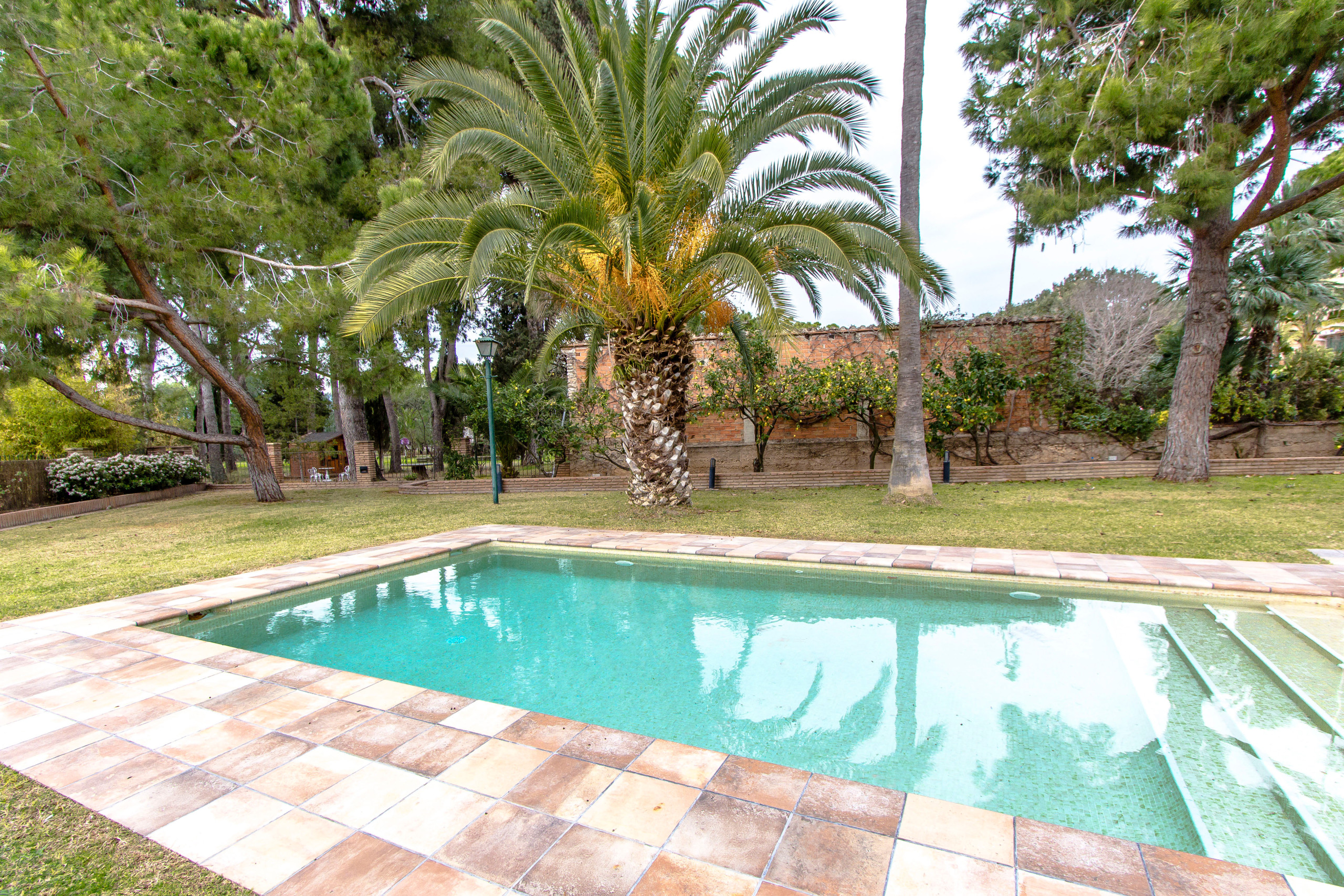 Rent Villa in  Cristina Santa Oliva Cal Forner picture-3