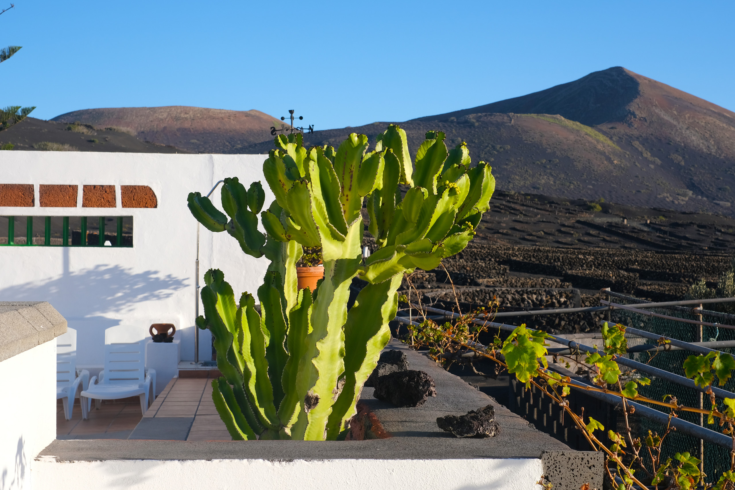 Ferienhaus in Yaiza buchen Casa Diama 2 Bild-7