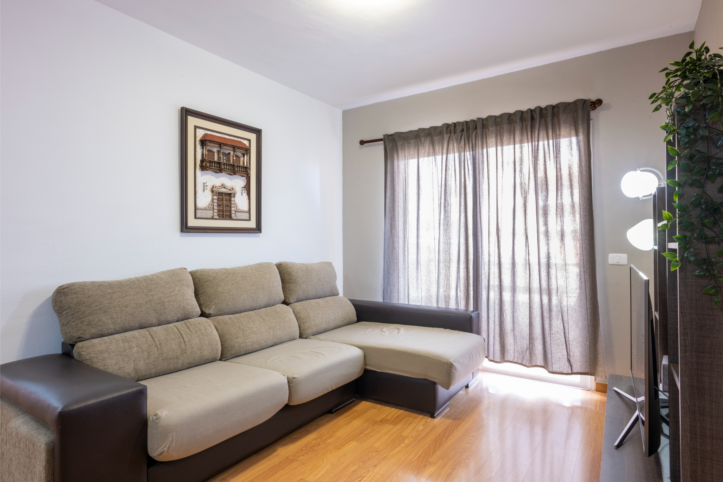 Rent Apartment in Candelaria SUR EDDYMAR picture-7