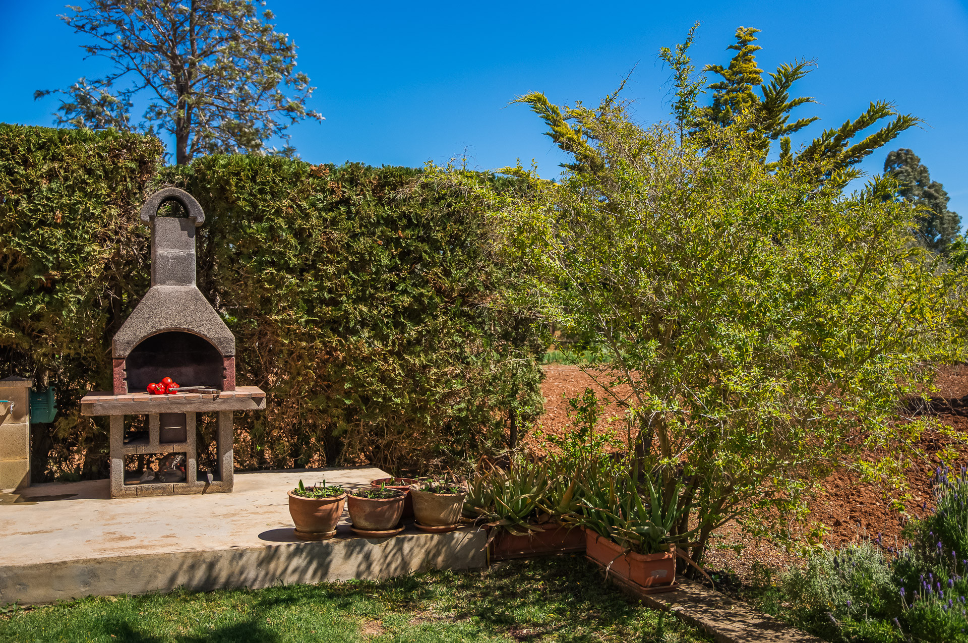 Landhaus in Capdepera buchen Finca Es Baladre Bild-6