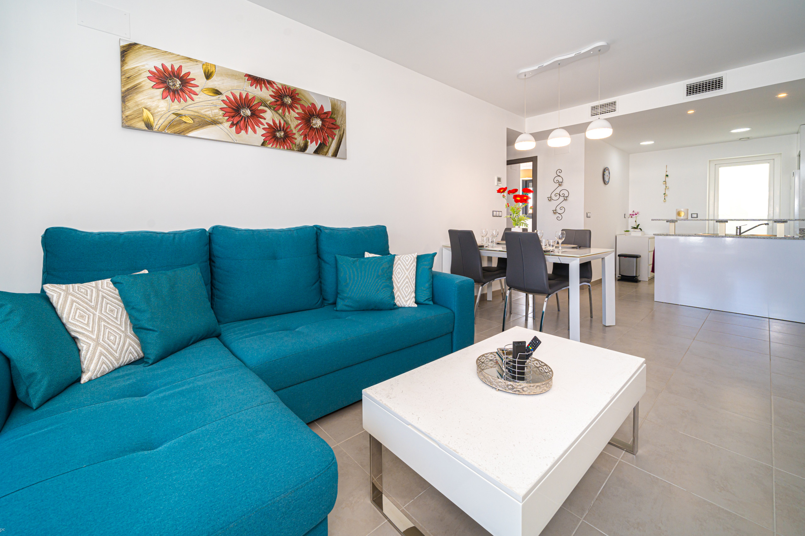 Rent Apartment in Los Arenales del Sol Cocoon picture-5