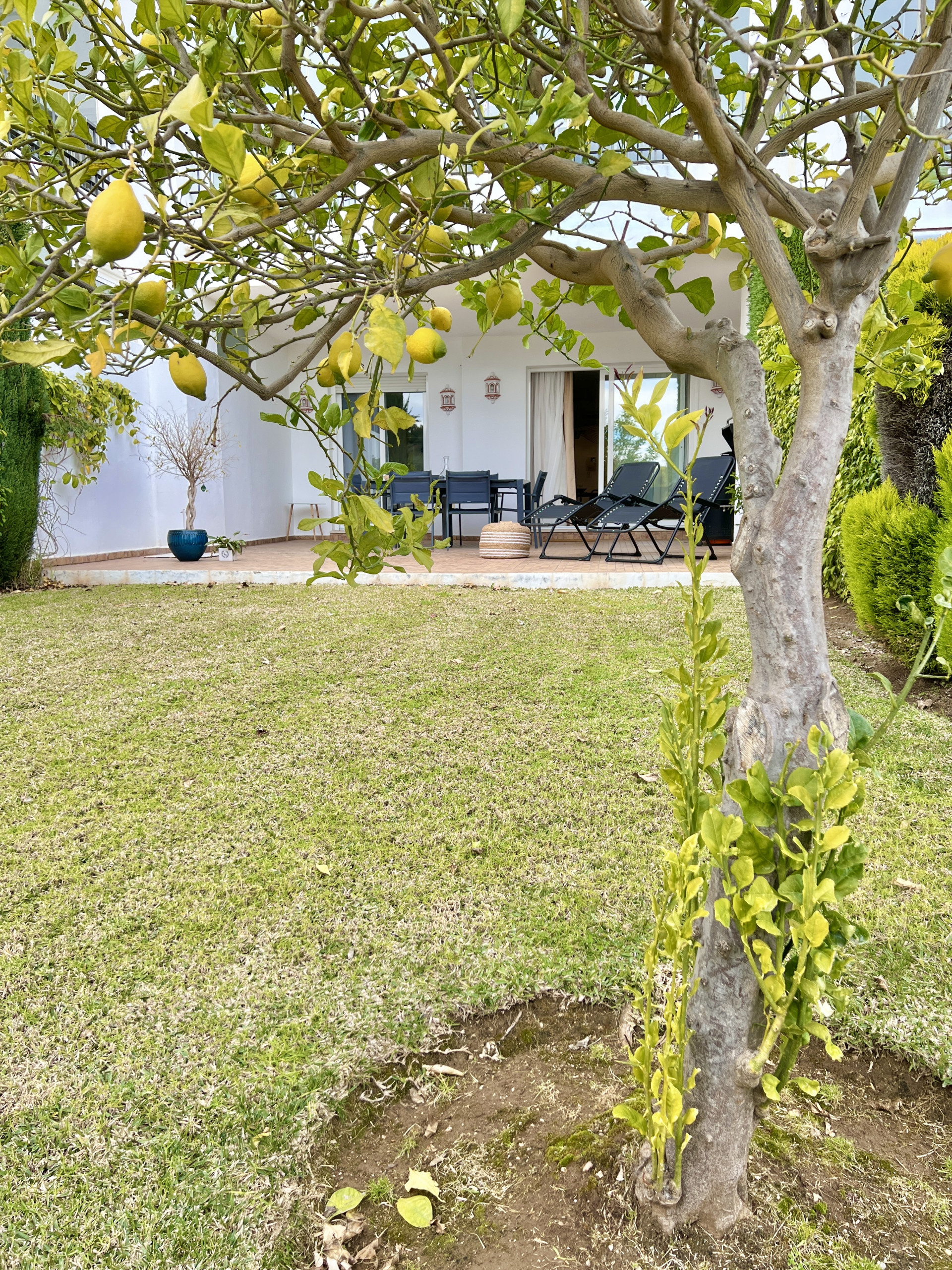 Ferienwohnung in Ojen buchen 8 - appartement avec jardin a la Mairena - el Bosq Bild-4