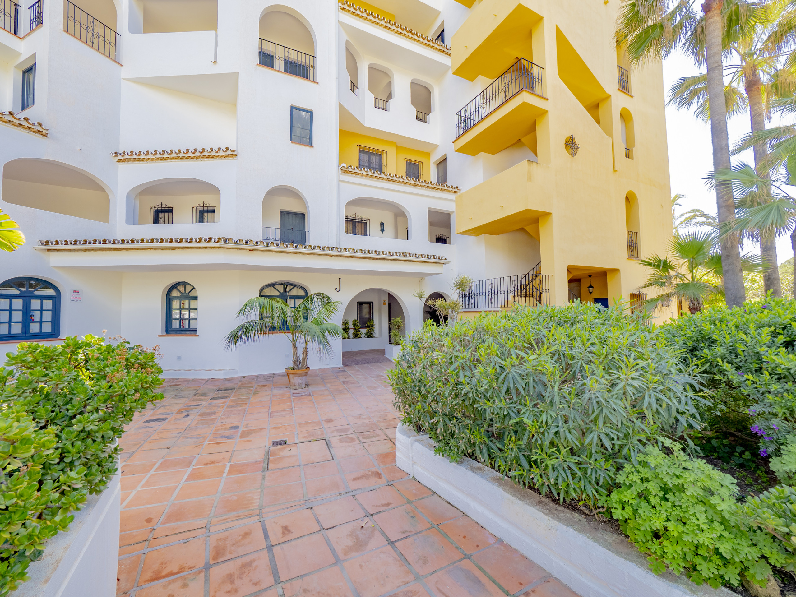 Rent Apartment in Marbella Cubo's Estudio Cabopino Port & Parking picture-3