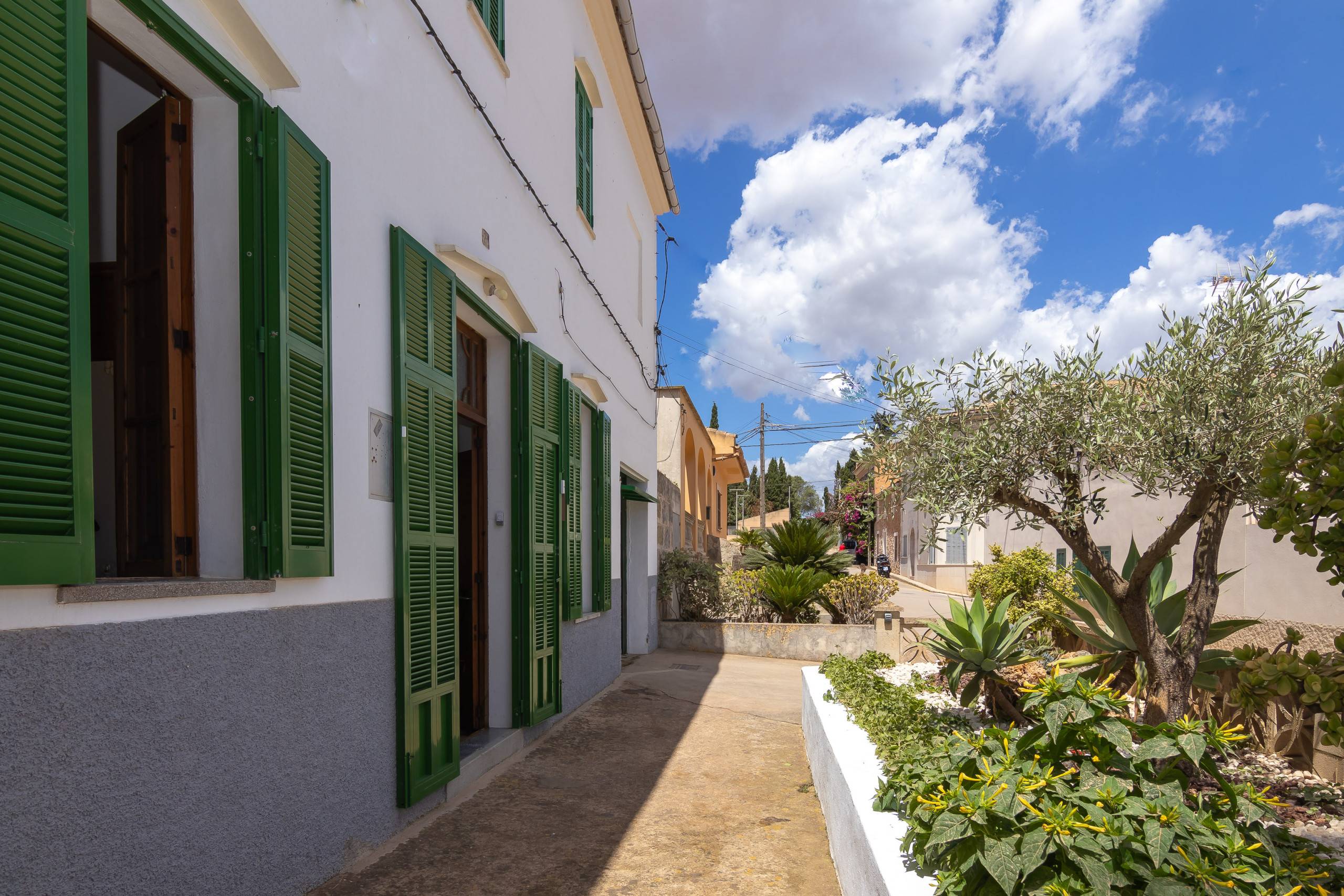 Rent House in Ariany Cas Padri Teco 271 by Mallorca Charme picture-9