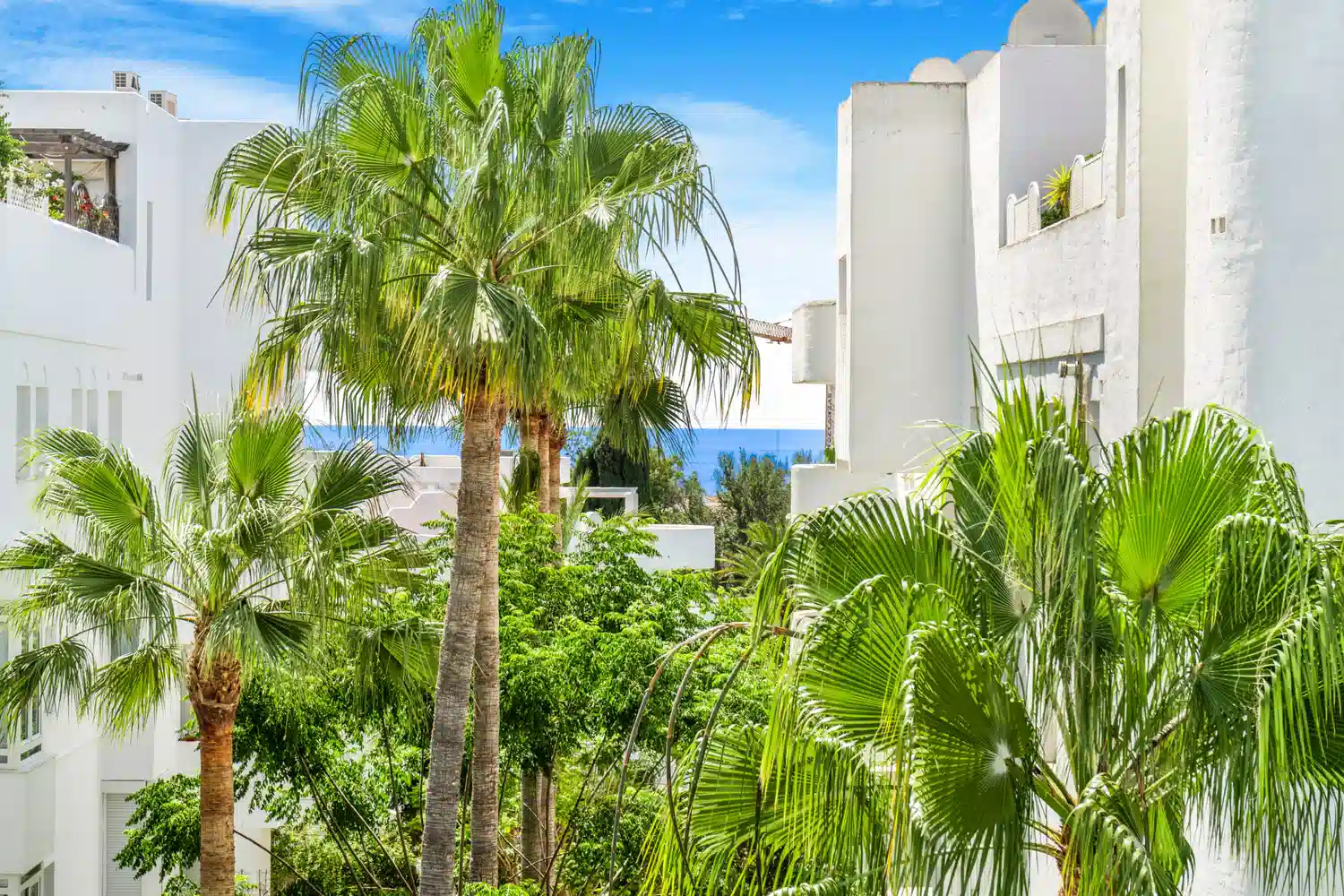 Alquilar Apartamento en Marbella Marbella Real Golden Mile - 3 Bedroom Apartment imagen-18
