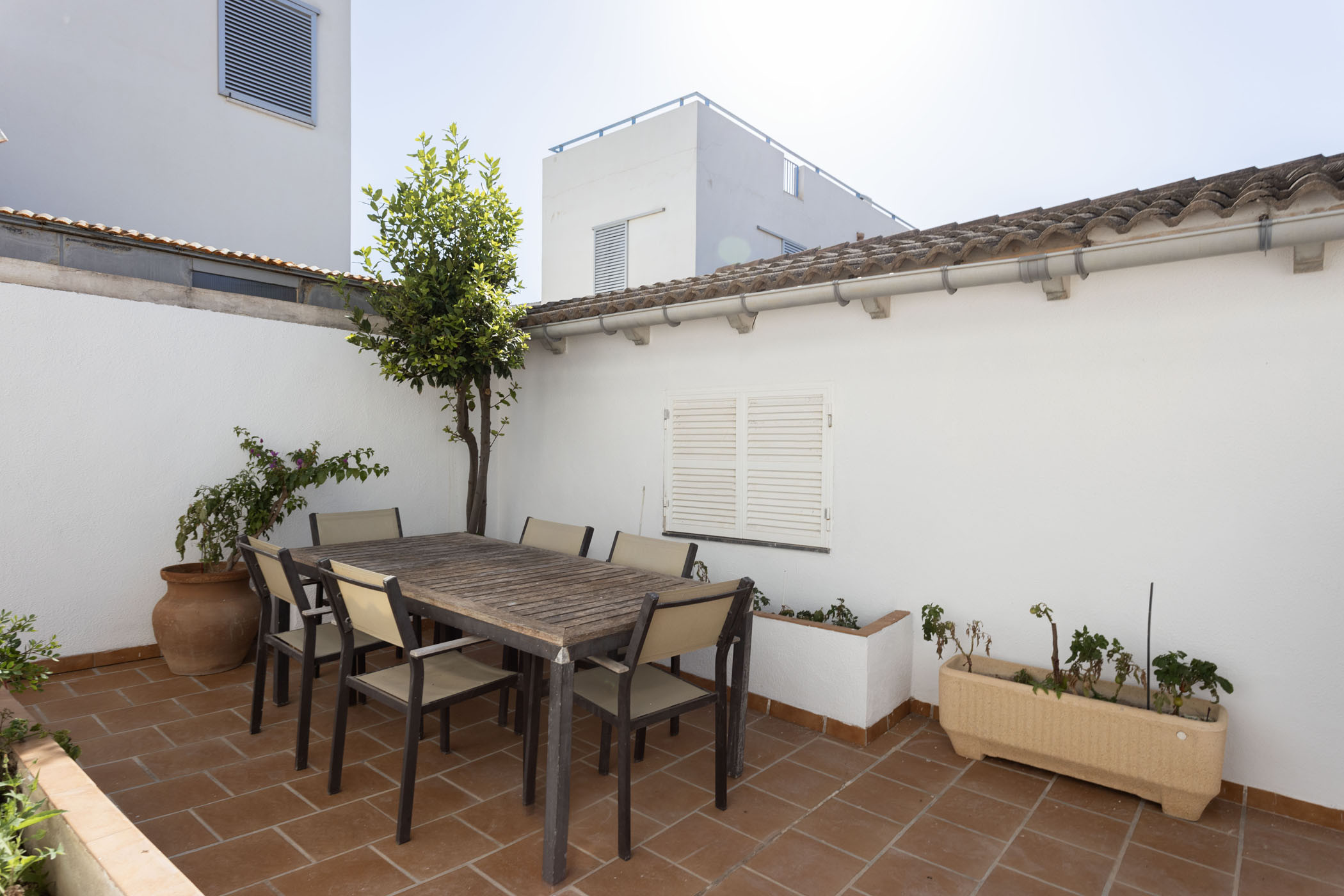 Rent House in Son Serra de Marina Ca s´Aviador picture-4