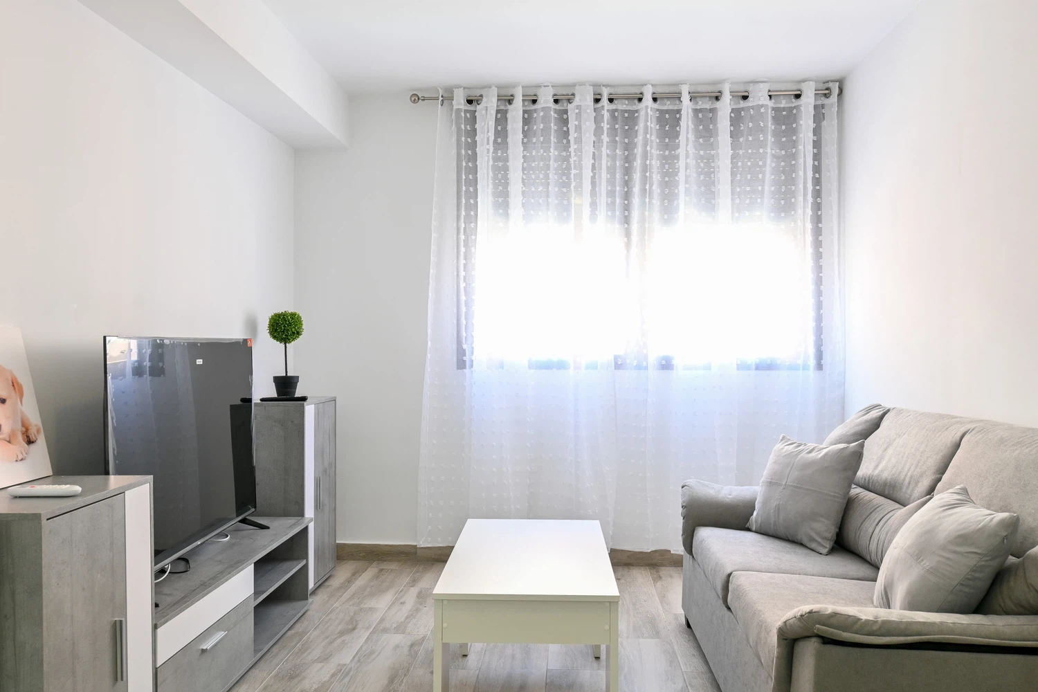 Alquilar Apartamento en Madrid M (MMA322A)Acogedor apartamento de un dormitorio e imagen-6