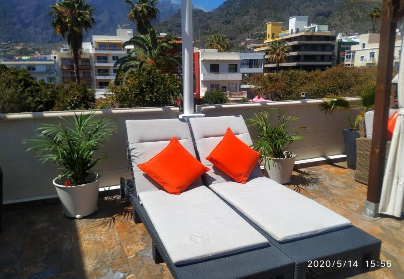 Rent Apartment in Los Llanos de Aridane Aptos. EL PATIO picture-10