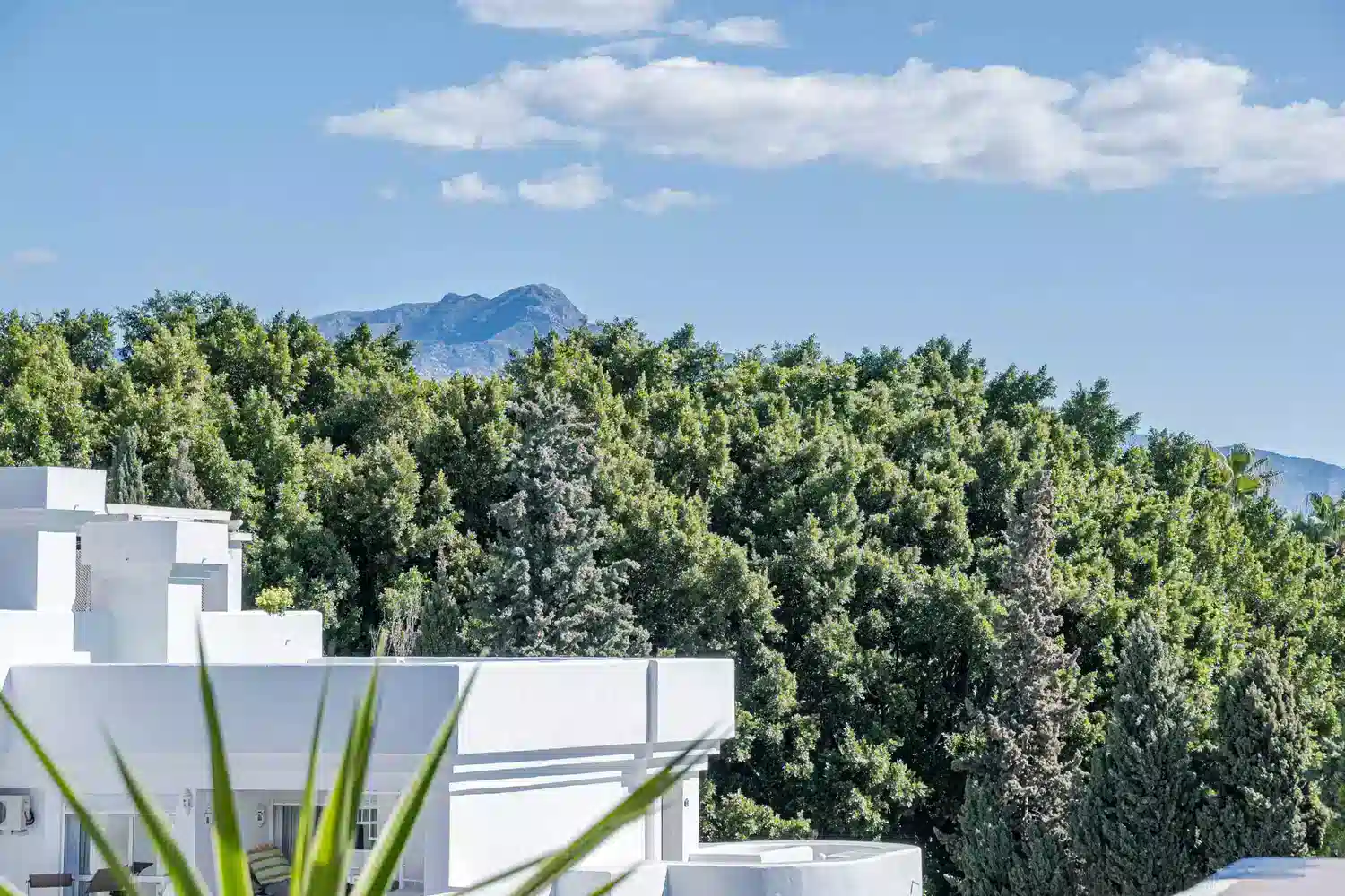 Alquilar Apartamento en Estepona Sungardens penthouse imagen-74