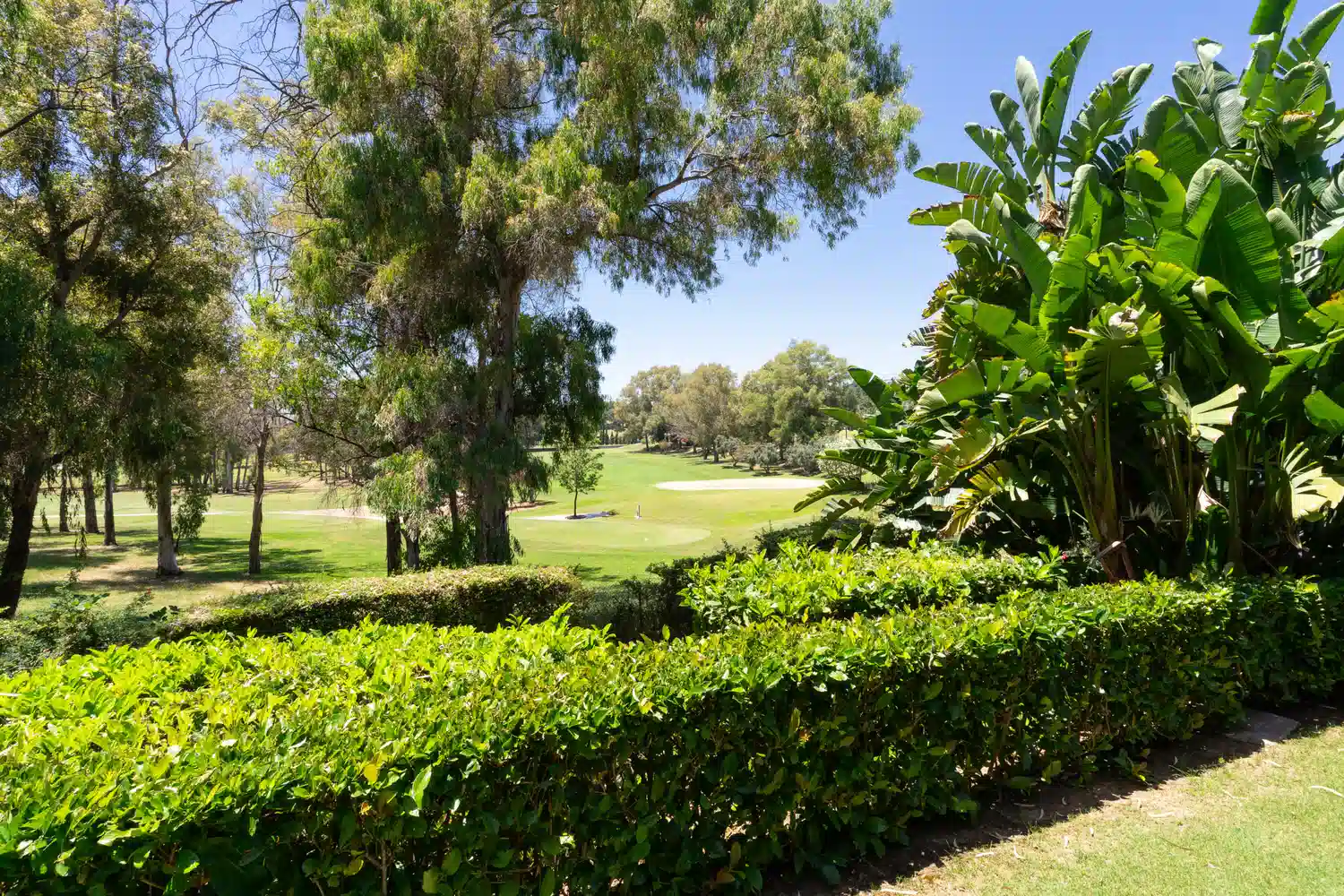 Alquilar Apartamento en Benahavis Benatalaya Golf Views imagen-24