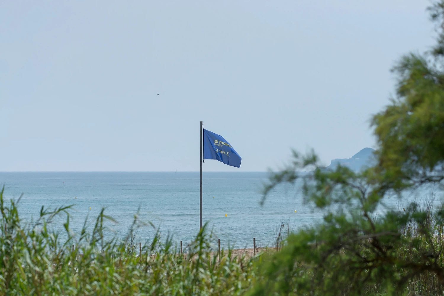 Alquilar Apartamento en Estartit WELCS APARTAMENTO 256 PDA junto al mar imagen-10