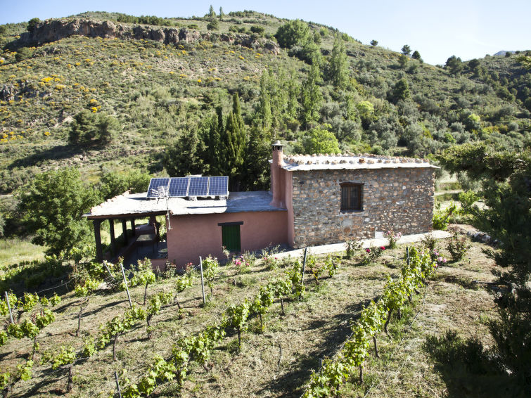 Rent House in Orgiva El Cerrillo picture-6