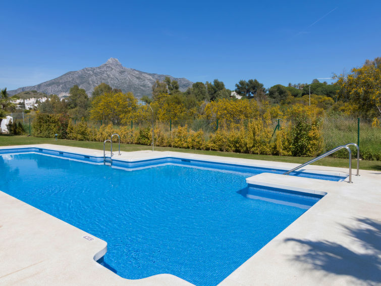 Rent House in Marbella Los Naranjos Singles picture-11