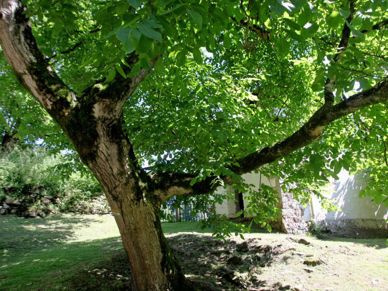 Alquilar Casa en Bera Uxaneko-errota imagen-19