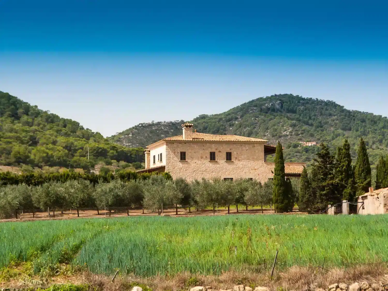 Alquilar Casa en Cala Llombards Aguilas imagen-3