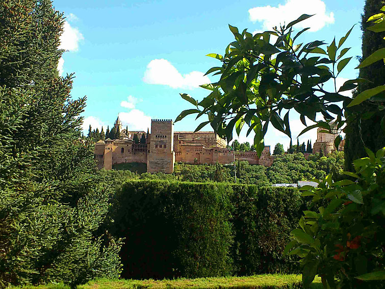 Huis in Granada buchen Carmen Del Agua Bild-32