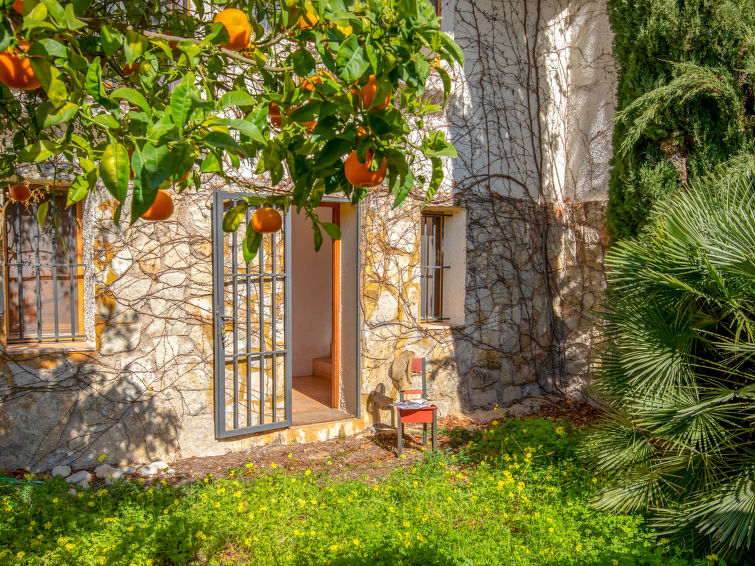 Ferienhaus in Jávea buchen Vista Halcon Bild-23