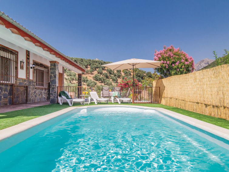 Rent House in  Las Tijeras picture-0