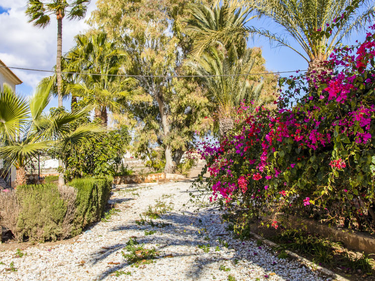 Ferienhaus in Vera buchen Cortijo Virgen de las Angustias Bild-59