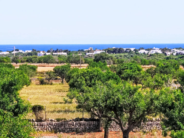 Villa in Cala d'Or buchen Finca del Sol Bild-3