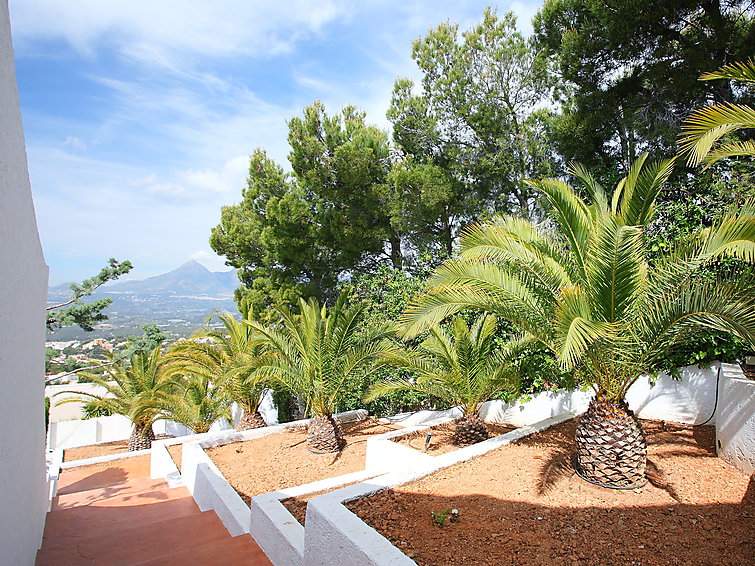 Rent Villa in Altea Palm Spring picture-7