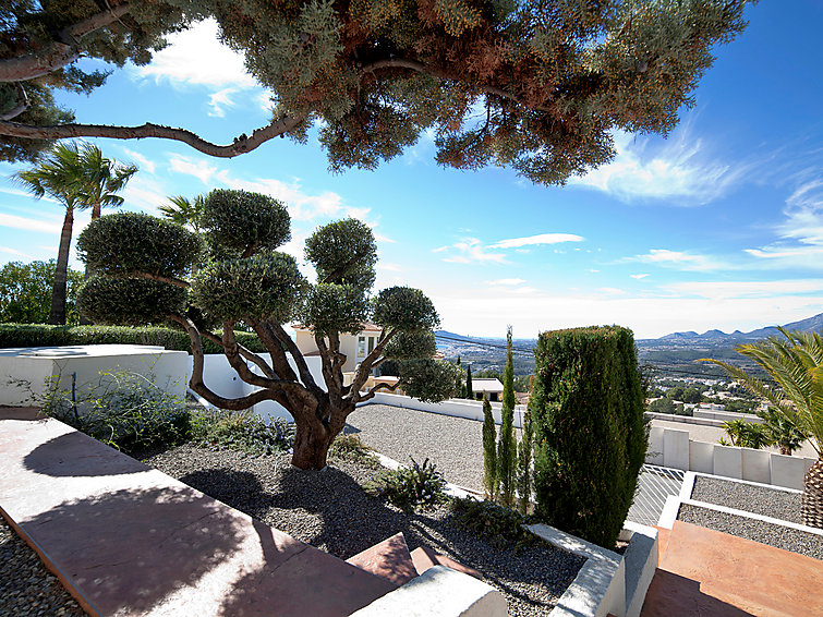 Rent Villa in Altea Palm Spring picture-6