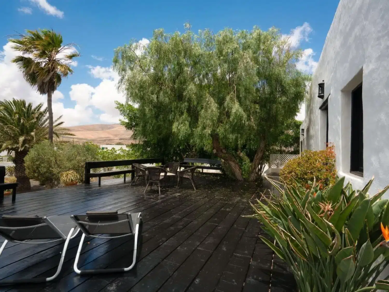 Alquilar Casa en Guatiza Bauernhaus mit großem Garten und beheiztem Pool imagen-3