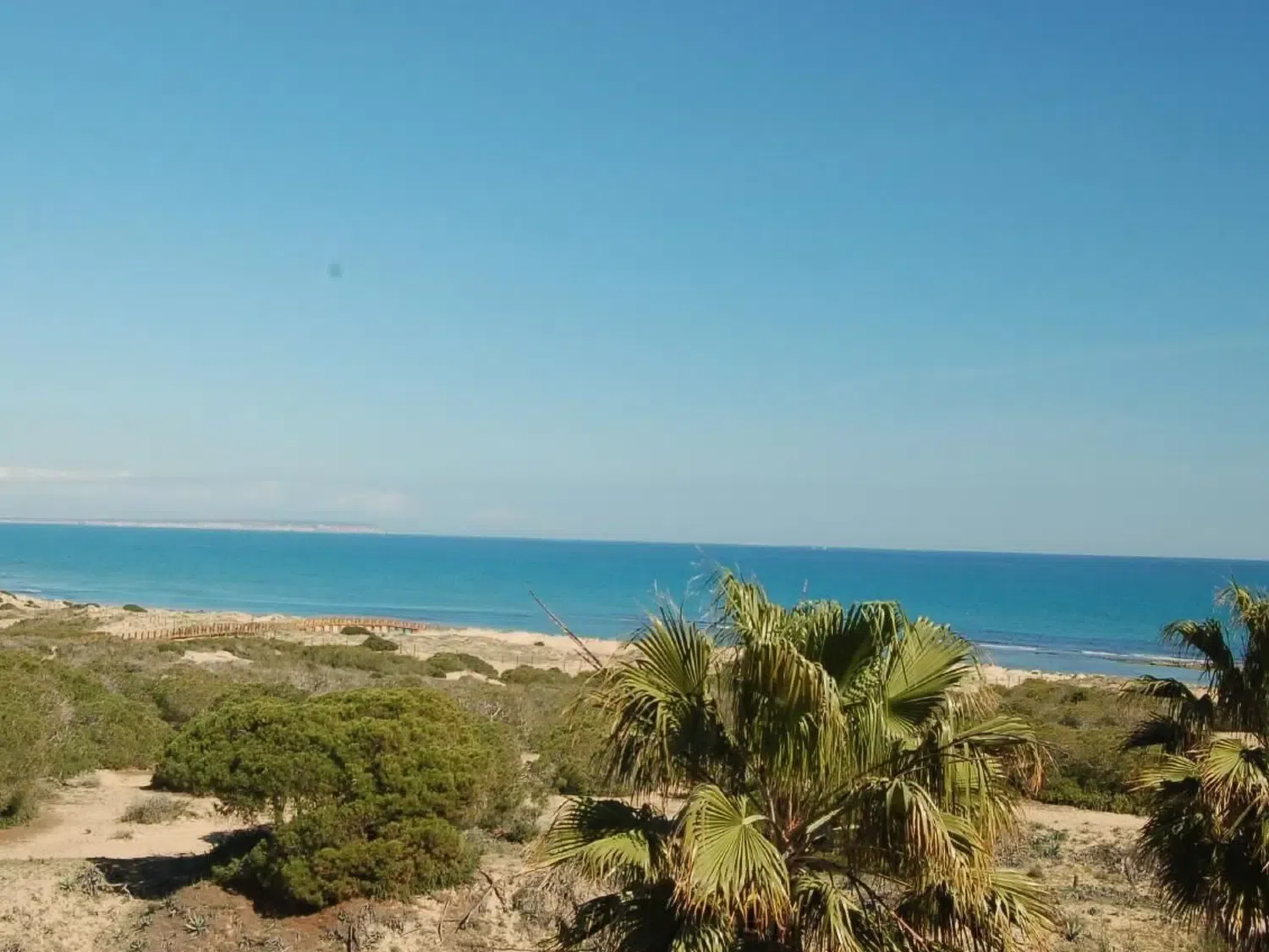 Alquilar Casa en La Mata "Pinada Beach" mit Schwimmbad imagen-3